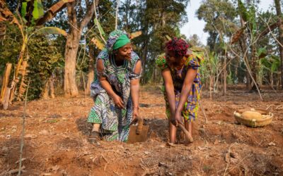 PDET, ZOMAC un reto pendiente