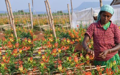 Comunidades y liderazgos que sostienen la memoria y la dignidad